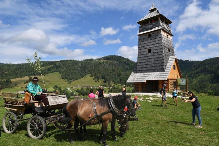 Tisovec Penzion Zbojnicky Halas מראה חיצוני תמונה